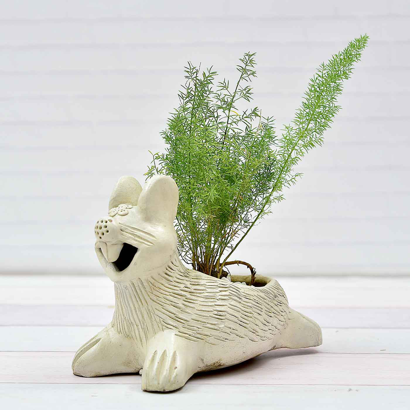 Feathery-Bright-Asparagus-Fern-In-Animal-Pot