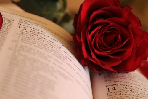 Best Love Quotes From The Greatest Poets