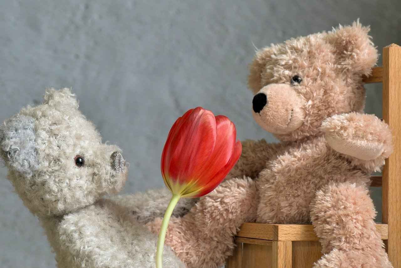 Why Teddy Bears Make a Best Valentine Gift