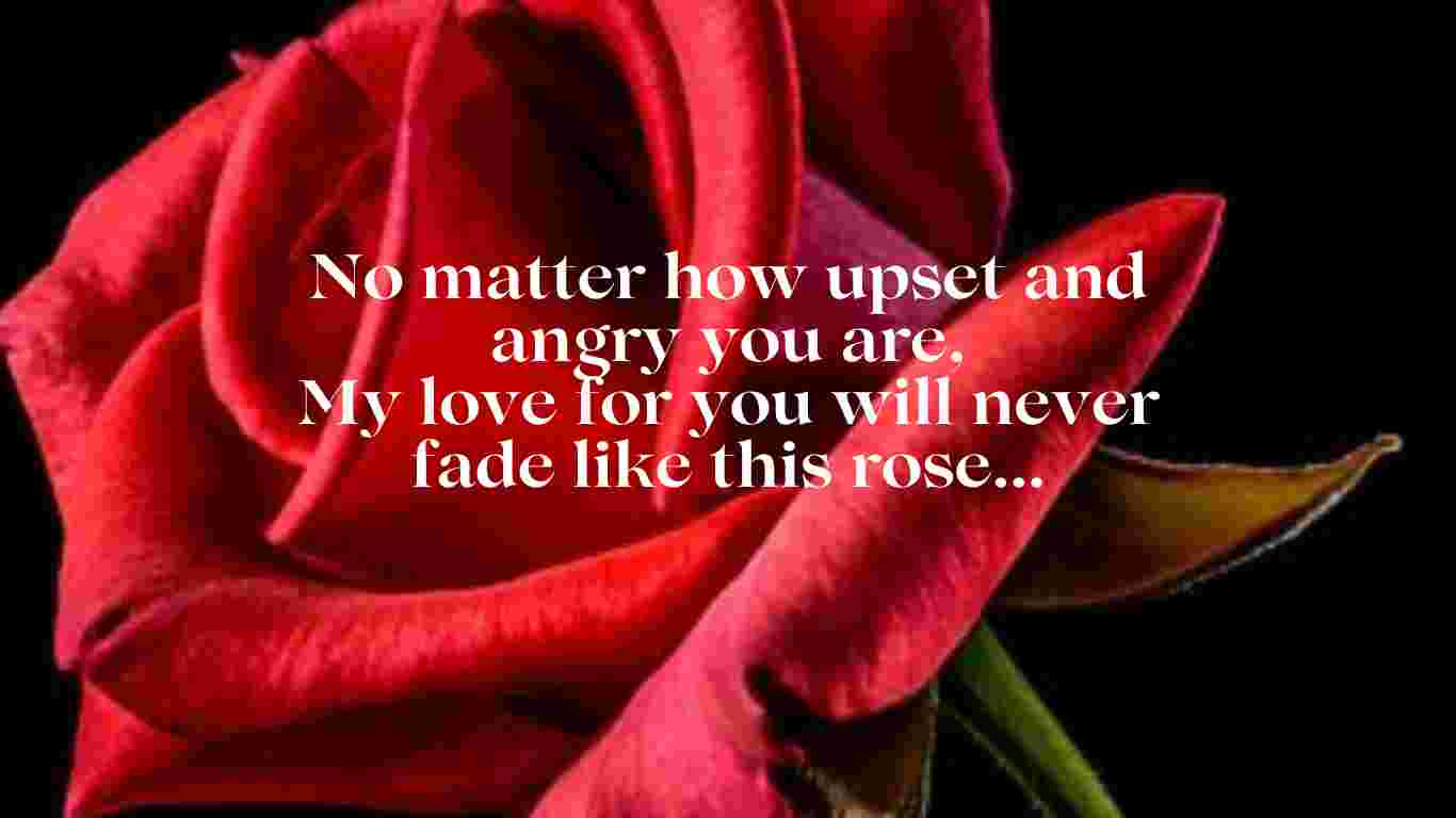 rose day quote for love
