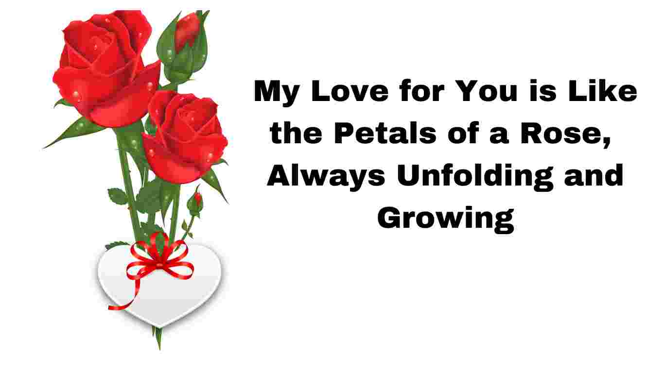rose day quotes 2