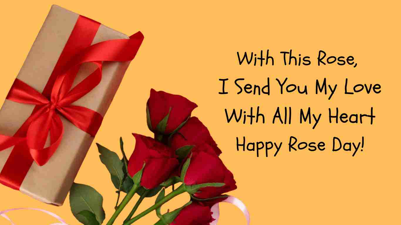 Happy Rose Day Quotes, Wishes, Messages 2023 - Celebrate Joy of Love