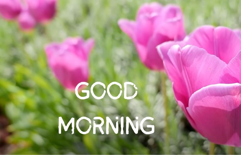 Good Morning Images flower