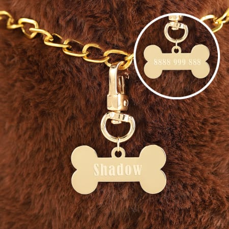 Pet Rakhi Ideas